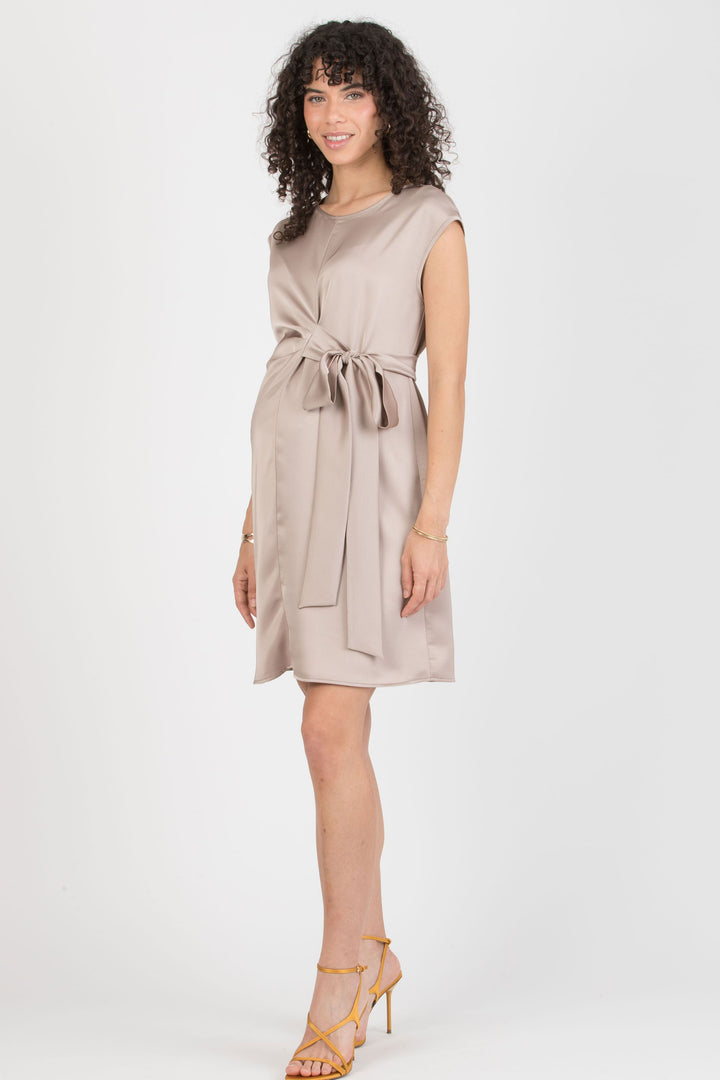 Veronica Chic Maternity Sleeveless Dress in Strawberry, Perfect for Work & Special Occasion (Copy)