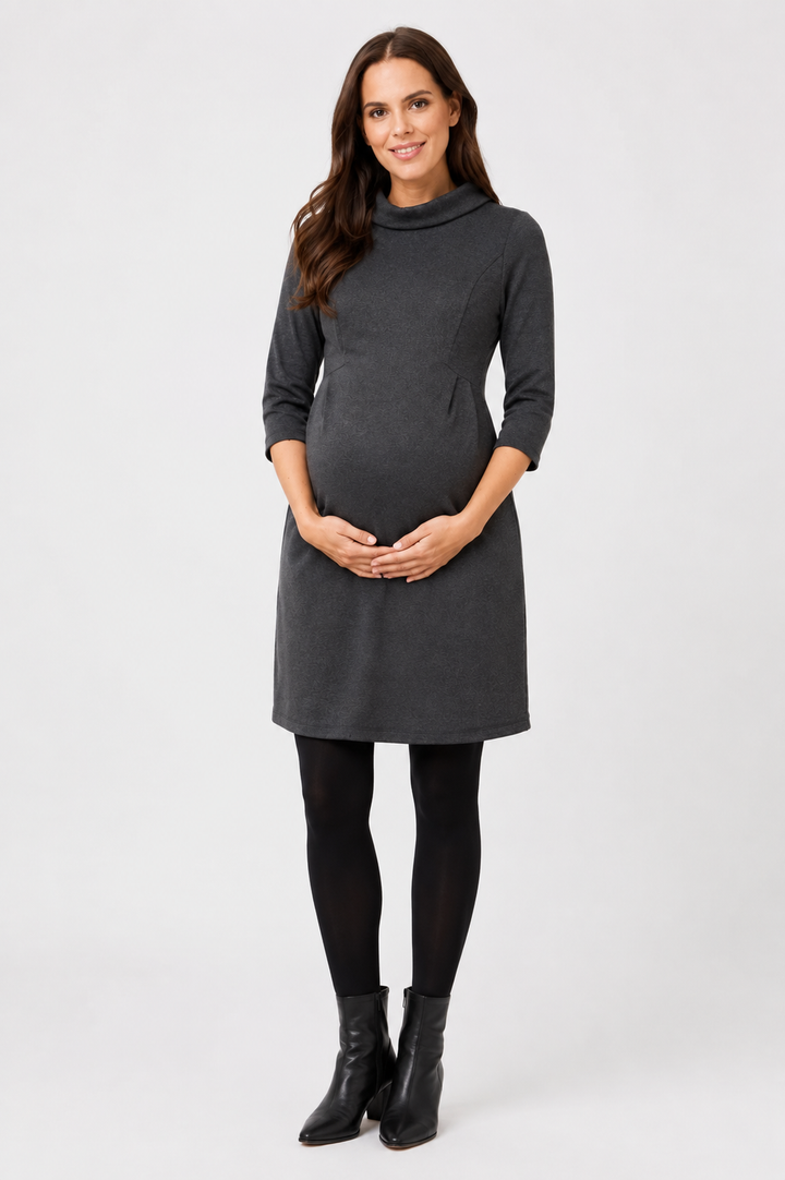 Seraphine Joelle Funnel Neck Maternity Dress