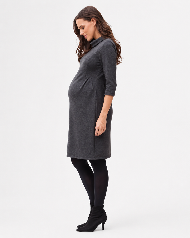 Seraphine Joelle Funnel Neck Maternity Dress