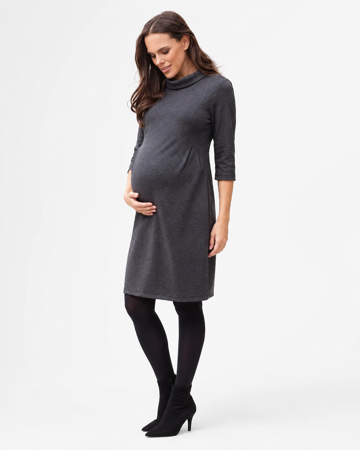 Seraphine Joelle Funnel Neck Maternity Dress